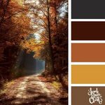 25 Color Palettes Inspired by the Pantone Fall 2017 Color Tr